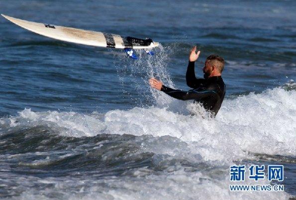 森林的奇迹